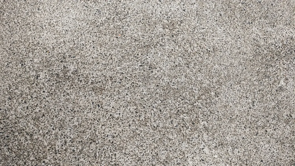 Close-up view of exposed aggregate concrete finish with a speckled appearance showing various embedded stones.